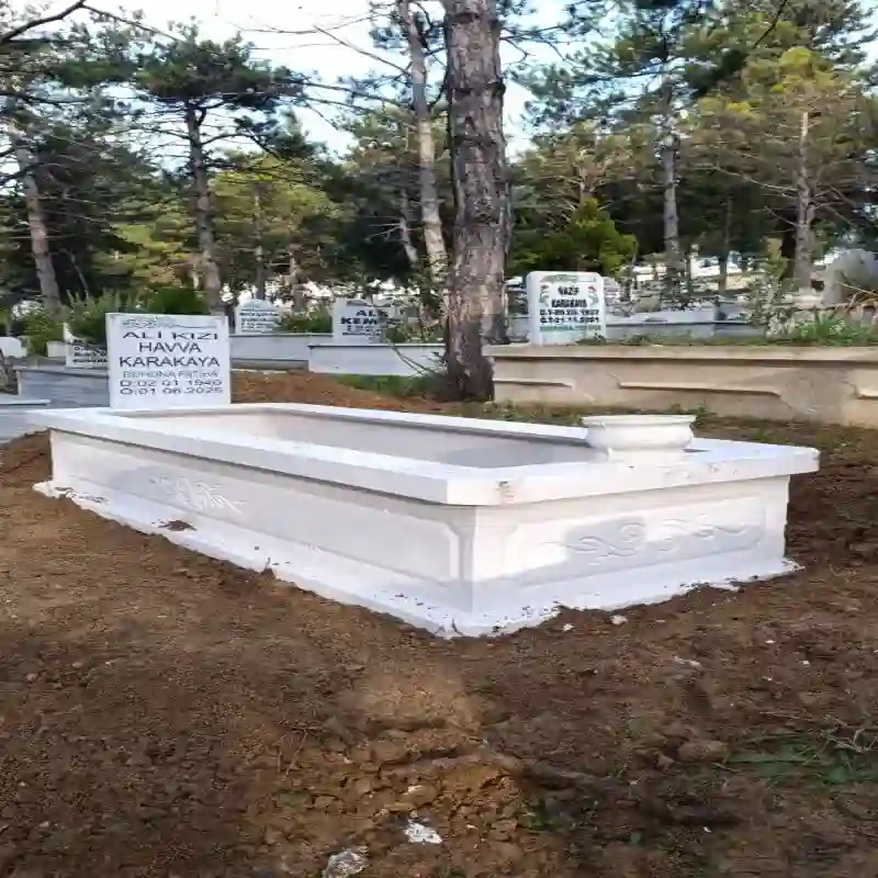 Bölge İlçe Mahalle Hizmet - Sade ve Şık Boyasız