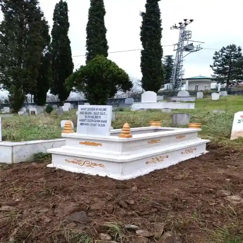 Bölge İlçe Mahalle Hizmet - Çift Katlı Lüks Tasarım