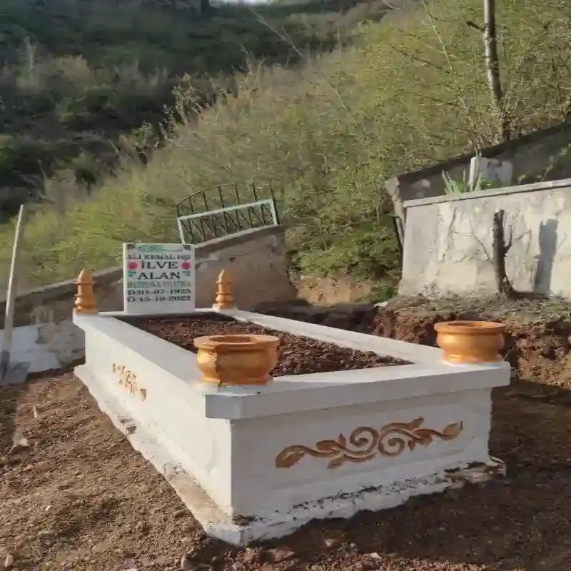 Bölge İlçe Mahalle Hizmet - Boyalı Özel Seri